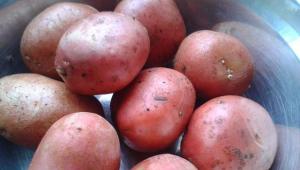 9 секретів смачної смаженої картоплі