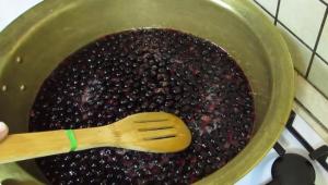 Reçeli i rrushit të zi si pelte - një ëmbëlsirë e ëmbël për dimër