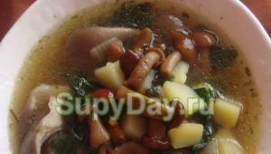 سوپ با قارچ عسلی و ورمیشل