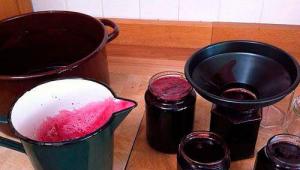 Receta të verës së shtëpisë nga bllokimi i fermentuar